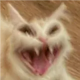 Figurinha para WhatsApp