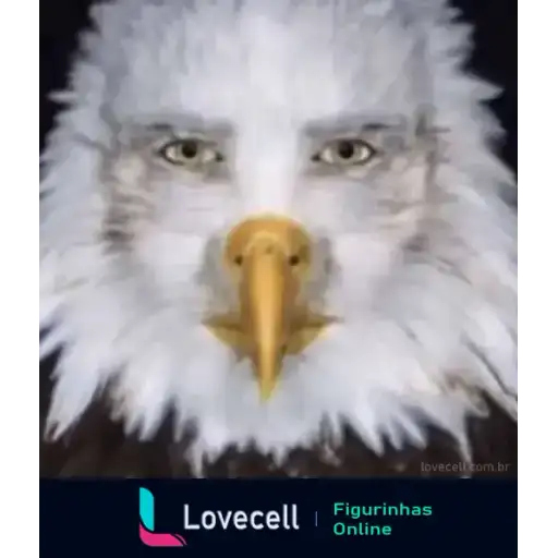 Coletadas sticker 33235