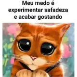 Figurinha de Gatos para WhatsApp