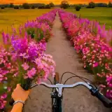 Figurinha para WhatsApp