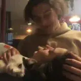 Figurinha de Amor para WhatsApp