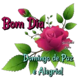 Sticker de Saudações para WhatsApp