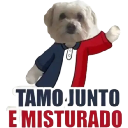 Coletadas sticker 16598