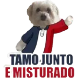 Figurinha de Memes Brasileiros para WhatsApp