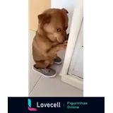 Sticker para WhatsApp