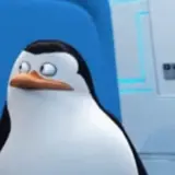 Figurinha de reação para WhatsApp