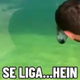 Figurinha para WhatsApp