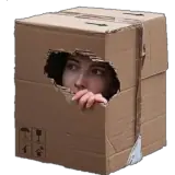 Figurinha para WhatsApp