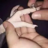 Amor WhatsApp sticker