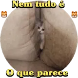 Figurinha para WhatsApp
