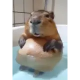 Figurinha de Animais para WhatsApp