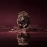 Figurinha de Animais para WhatsApp