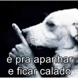 Figurinha de Memes Brasileiros para WhatsApp