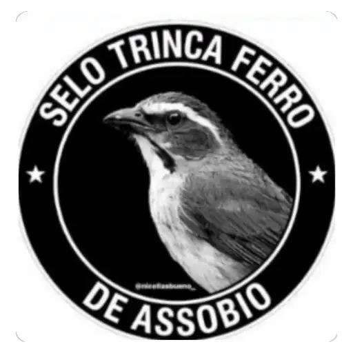Coletadas sticker 39946