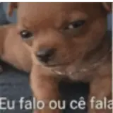 Sticker de Cachorros para WhatsApp