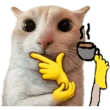 Figurinha de Memes para WhatsApp