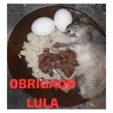 Figurinha de Comida para WhatsApp