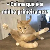 WhatsApp sticker