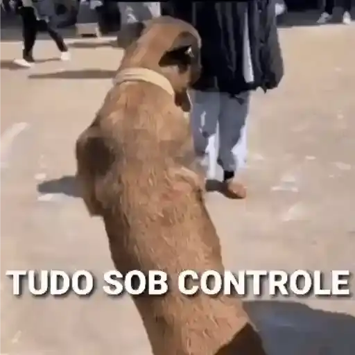 Coletadas sticker 912