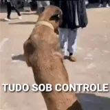 Figurinha para WhatsApp