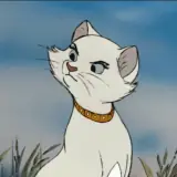 Figurinha de Animais para WhatsApp