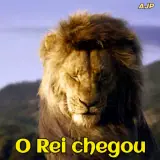 Figurinha de Animais para WhatsApp