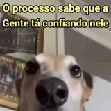 Figurinha de Memes Brasileiros para WhatsApp
