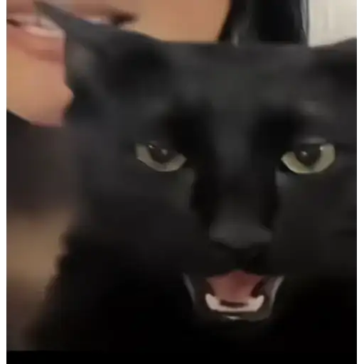 Coletadas sticker 587