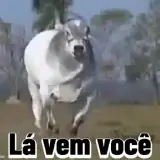 Figurinha de Memes Brasileiros para WhatsApp