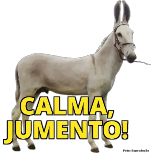 Coletadas sticker 25587