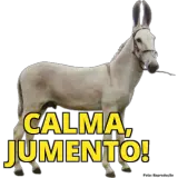 Figurinha de Memes Brasileiros para WhatsApp