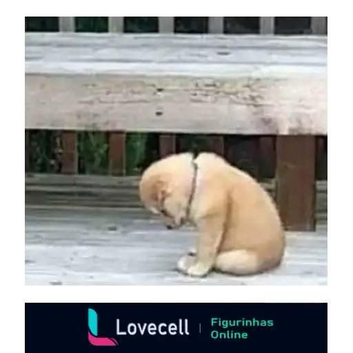 Coletadas sticker 33582