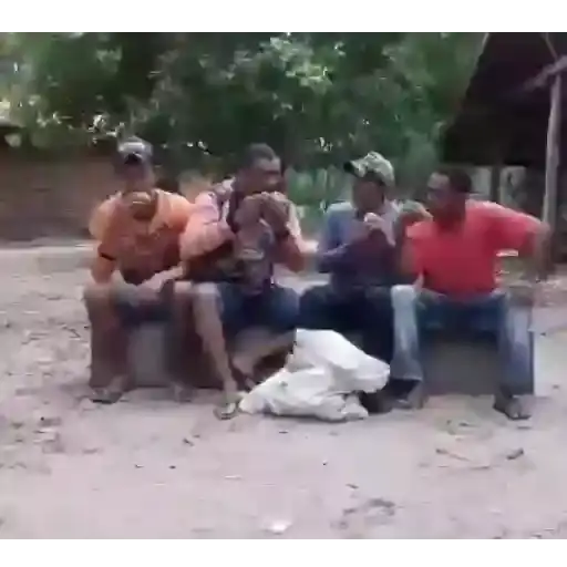 Coletadas sticker 6881