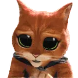 Sticker de Gatos para WhatsApp