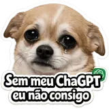 Figurinha de Memes Brasileiros para WhatsApp