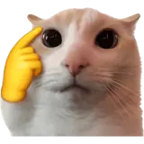 Sticker de Gatos para WhatsApp