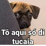 Sticker de Memes Brasileiros para WhatsApp