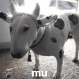 Figurinha para WhatsApp