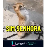 WhatsApp sticker