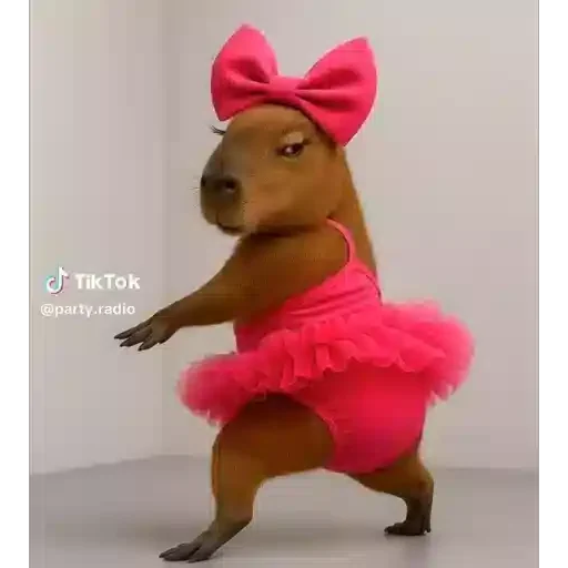WhatsApp Sticker — Animais
