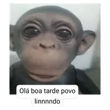 Figurinha para WhatsApp
