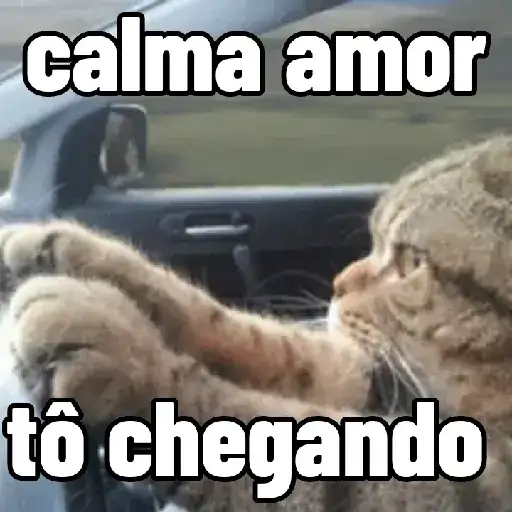 Coletadas sticker 24335