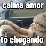 Figurinha de Gatos para WhatsApp