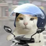 Figurinha de Animais para WhatsApp