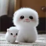 Figurinha de Animais para WhatsApp