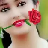 Figurinha de Amor para WhatsApp