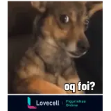 Sticker para WhatsApp