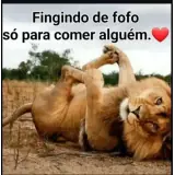 Figurinha de Memes Brasileiros para WhatsApp