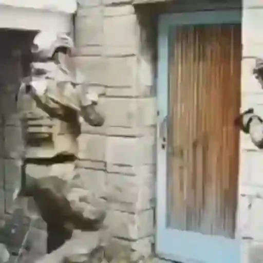 Figurinha para WhatsApp — Engraçados