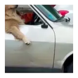 Figurinha para WhatsApp